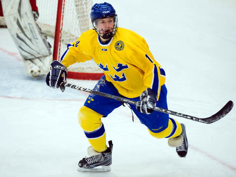 Joachim Nermark, Sverige