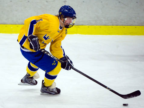 Joachim Nermark, Sverige