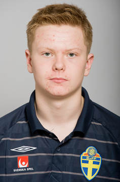 Johan Wikström, Sverige