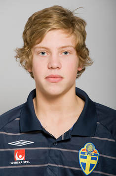 Alexander Fransson, Sverige