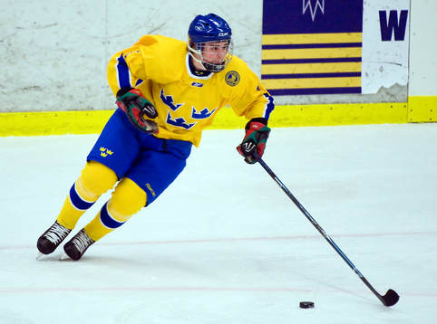 Petter Runesson, Sverige