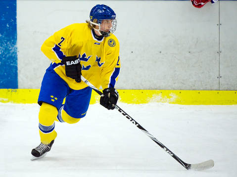 Jonas Brodin, Sverige