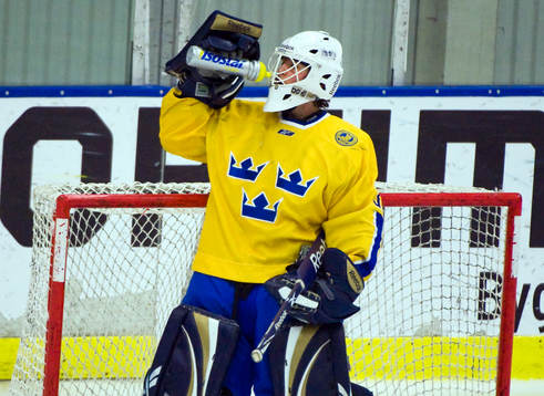 Stefan Steen, målvakt, Sverige