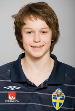 Joel Segerdahl, Sverige