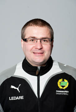 Roland Nester, Lagledare