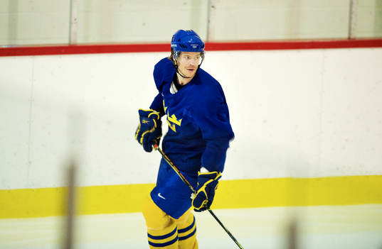 Fredrik Modin