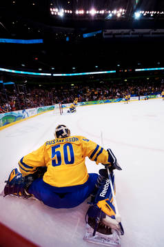 Jonas Gustavsson, målvakt, genre