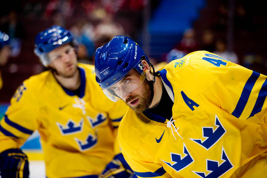 Henrik Zetterberg, Sverige