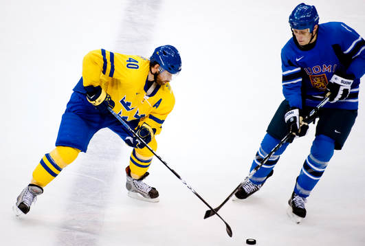 Henrik Zetterberg, Sverige