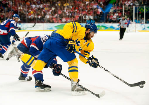 Henrik Zetterberg, Sverige