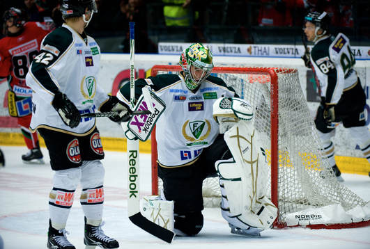 Johan Gustafsson, Målvakt Färjestad