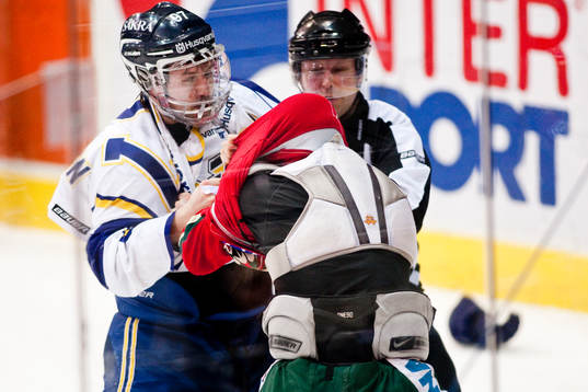 Per Ledin, HV71 och Fredrik Pettersson, Frölunda (Bråk,