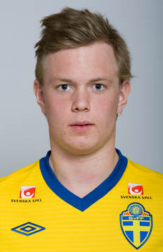 Max Westerberg, Sverige