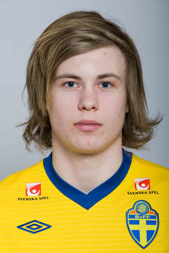 Daniel Jarl, Sverige