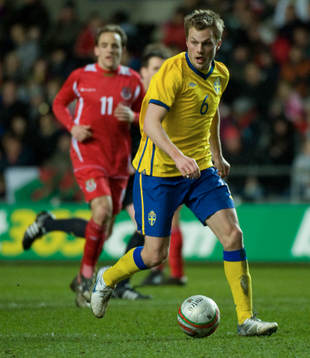 Sebastian Larsson, Sverige