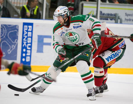 Mathias Porseland, Rögle