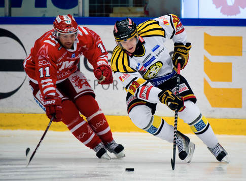 Peter Nylander, Timrå och Jakob Silfverberg, Brynäs