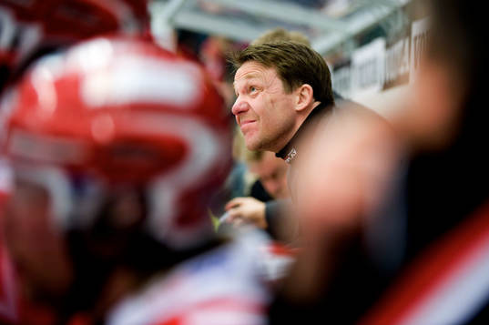 Charles Berglund, Tränare Timrå