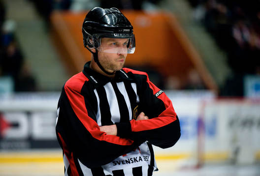Domare Ulf Rönnmark