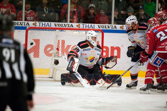 Stefan Ridderwall, Målvakt Djurgården