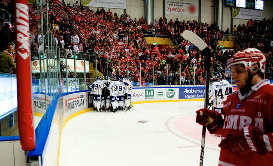 HV71 (Jubel)