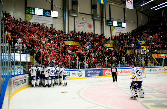 HV71 (jubel)