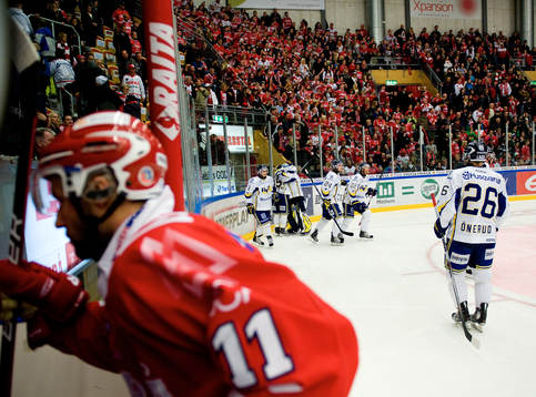 HV71 (jubel)