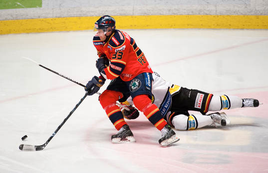 Timmy Pettersson, Djurgården