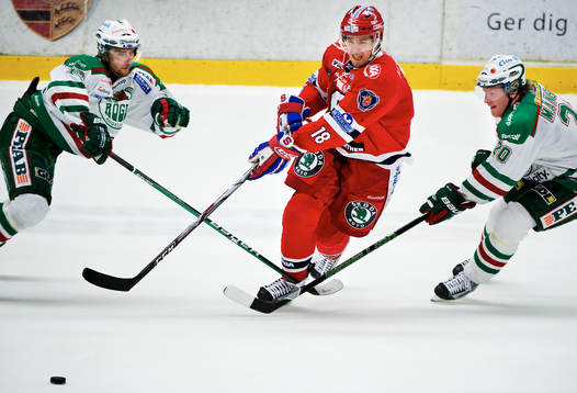 Dominik Granak och Mathias Månsson, Rögle och Linus