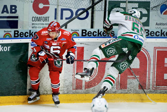 Andrée Brendheden, Rögle och Jiri Bicek, Södertälje