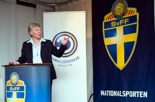 Susanne Erlandsson, Svenska Fotbollförbundet