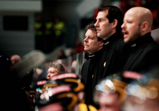 Niklas Czarnecki, tränare Brynäs