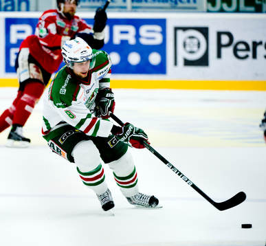 Mathias Porseland