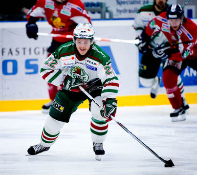 Tommy Enström, Rögle