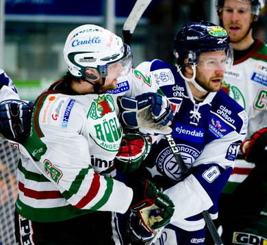 Jakob Johansson, Rögle och Pelle Prestberg, Leksand