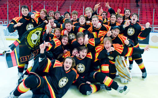 Brynäs segrande lag