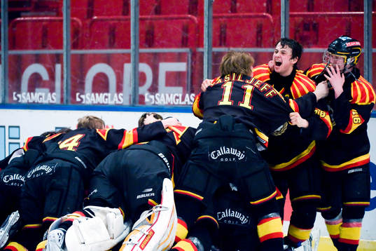 Alexander Sågström, Brynäs och Karl Johansson, Brynäs