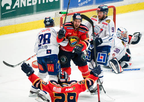 Nichlas Falk, Djurgården