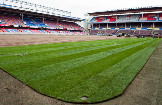 Råsunda får nytt gräs