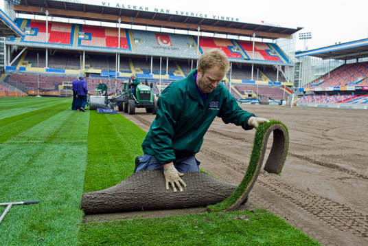 Råsunda får nytt gräs