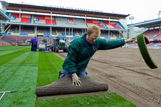 Råsunda får nytt gräs