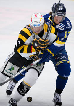 Bläddra bland fler bilder av Ishockey, Elitserien, Semifinal, HV71 - Skellefteå