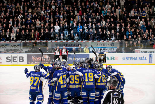 HV71, jubel