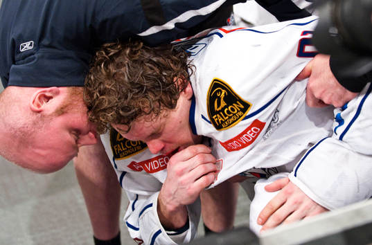 Bläddra bland fler bilder av Ishockey, Elitserien, Djurgården - Linköping