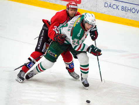Julius Larsson, Almtuna och Jeremy Colliton, Rögle
