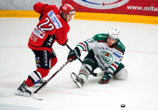 Elias Fälth, Almtuna och Giulio Scandella, Rögle