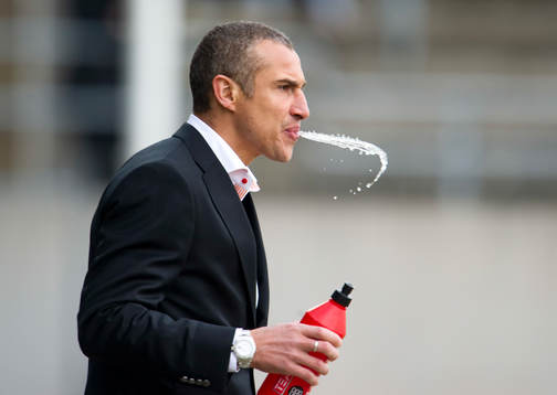 Henrik Larsson, tränare
