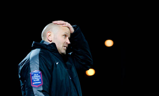Michael Borgqvist, tränare, Hammarby