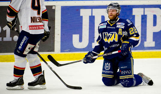 David Petrasek, HV71