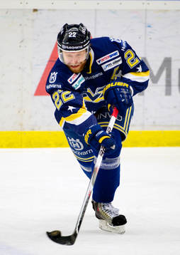 David Petrasek